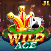 13win casino Wild Ace